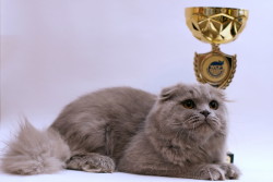 DSC_6082_измен.размер