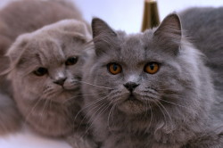 DSC_6099_измен.размер