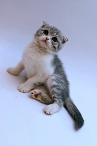 DSC_6277_измен.размер
